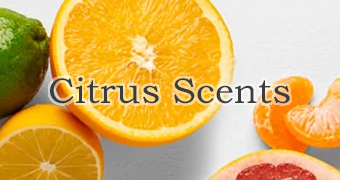yőIԁzCITRUS\VgX\