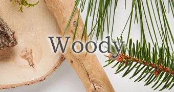 yőIԁzWOODY\EbfB\