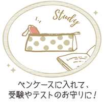 ペンケースに入れて、受験やテストのお守りに!