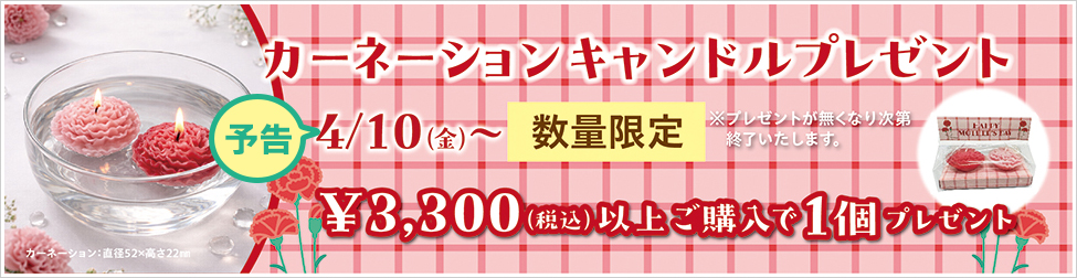 �v���[���g�L�����y�[���\��