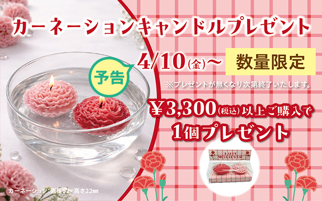 �v���[���g�L�����y�[���\��