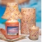 YANKEE CANDLE�u���b�V�����U�C�N�V�F�[�h�l�y���c�X����̔��z