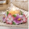 YANKEE CANDLE�r�[�`�t�����[�e�B�[���C�g�z���_�[�y���c�X����̔��z