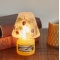 YANKEE CANDLEフォレストエレガンスジャーSシェードセット【数量限定販売】