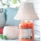 YANKEE CANDLE�o�u�����U�C�N�L�����h���z���_�[�y���ʌ���̔��z
