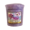 YANKEE CANDLE�T���v���[�y���c�X����̔��z