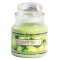 YANKEE CANDLE�W���[S