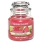 YANKEE CANDLE�W���[S�y���c�X����̔��z
