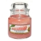YANKEE CANDLE�W���[S