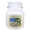YANKEE CANDLE�W���[�l�y���c�X����̔��z