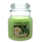 YANKEE CANDLE�W���[�l�y���c�X������ׁz