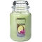 YANKEE CANDLE�W���[L�y���c�X����̔��z