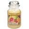 YANKEE CANDLE�W���[L