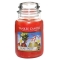 YANKEE CANDLE�W���[L