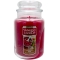 YANKEE CANDLE�W���[L�y���c�X����̔��z