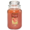 YANKEE CANDLE�W���[L�y���c�X����̔��z
