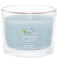 YANKEE CANDLE�V�O�l�`���[�^���u���[�~�j�y���c�X����̔��z