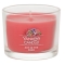 YANKEE CANDLEVOl`[^u[~jycX̔z