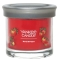 YANKEE CANDLE�V�O�l�`���[�^���u���[�r�y���c�X����̔��z