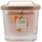 YANKEE CANDLE�G���x�[�V�����W���[S�y���c�X����̔��z