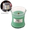 WoodWick�W���[S�y���c�X����̔��z