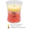 WoodWick�g�����W�[�W���[�l�i���t���j�y���c�X����̔��z